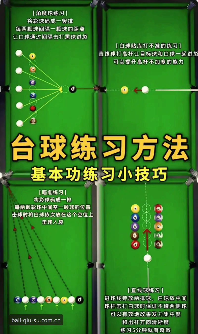 2026球速娱乐电脑版完整使用指南：资深分析师揭秘高效操作技巧